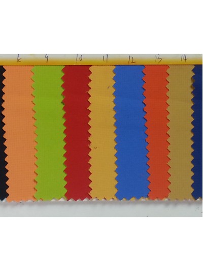 FS-CGFA 珍珠條 正面照